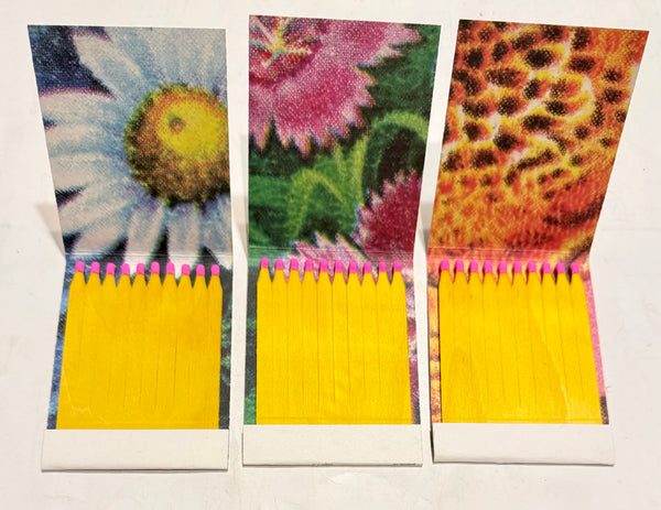 "RECEPTION " Giant Wood-Stem Matchbook (lot of 3)